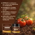 Activateur de sol