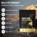 60 Gummies Shilajit