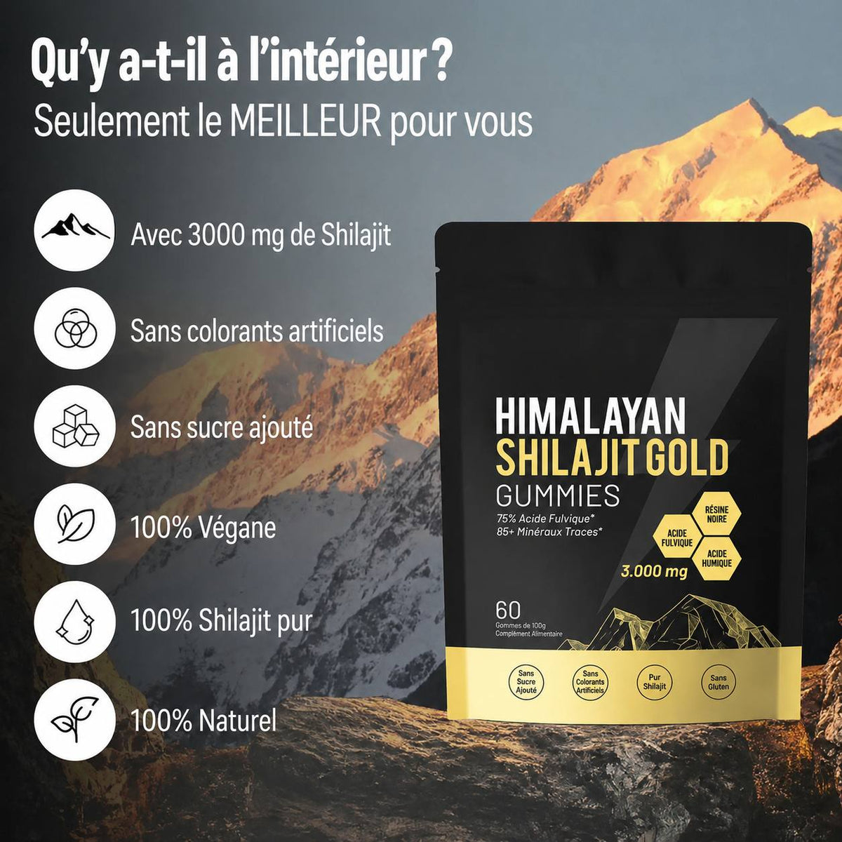 60 Gummies Shilajit